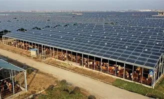 Plant Solar Installation